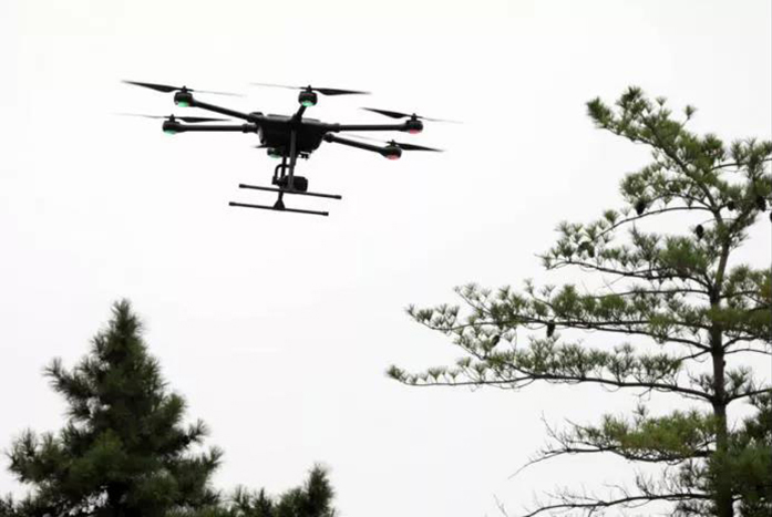 1605773974724956.jpg 1-200P311294c96.jpg