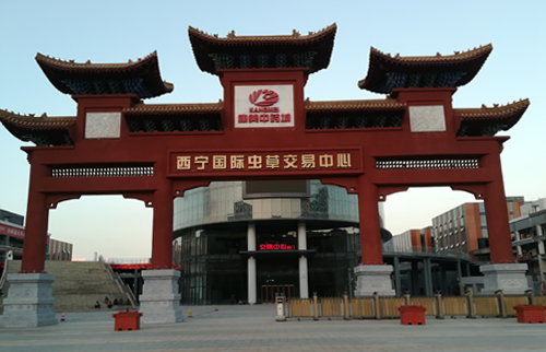 西宁康美中药城LED91探花在线直播